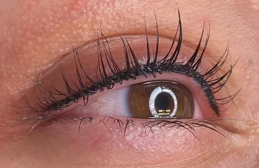 Kalıcı Dipliner ile Zamandan Tasarruf Sağlayın! Dila Sayan